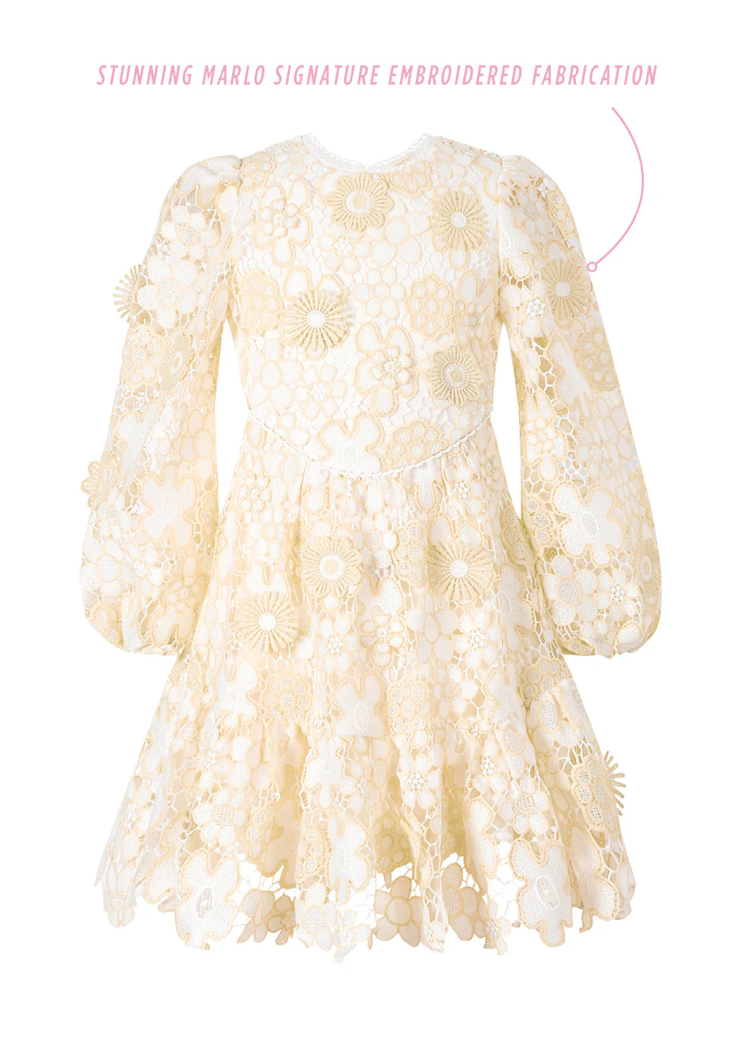 Amara Embroidered Mini Dress - Image 3