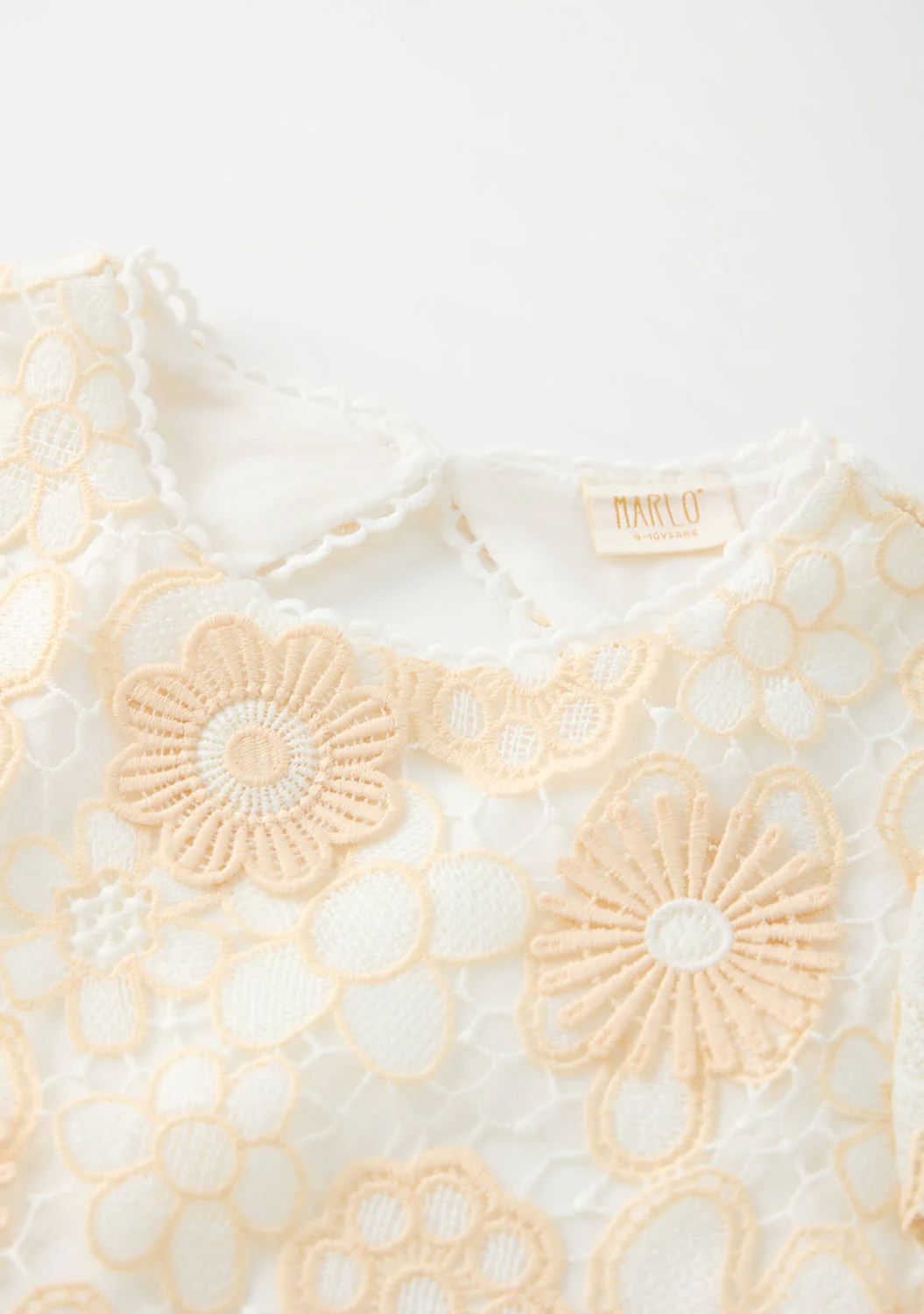 Amara Embroidered Mini Dress - Image 6