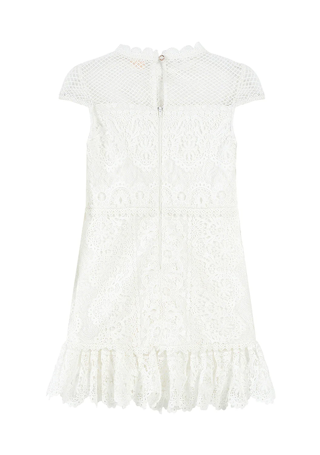 Annalisa Lace Mini Dress - Image 4