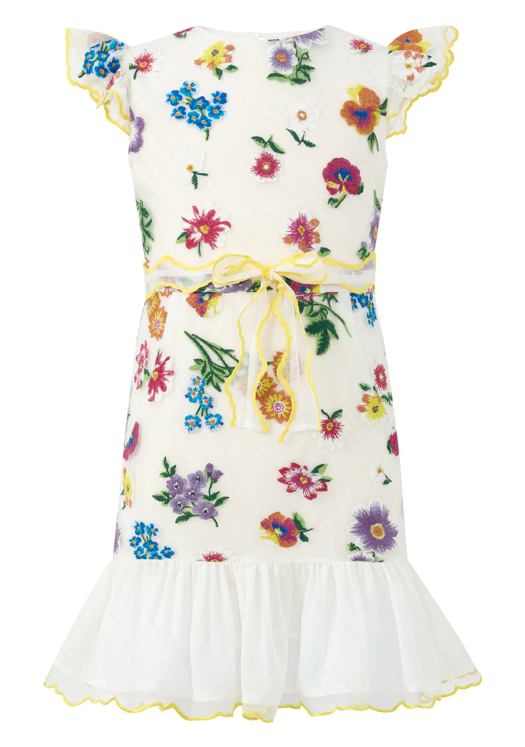 Carly Embroidered Mini Dress - Image 4