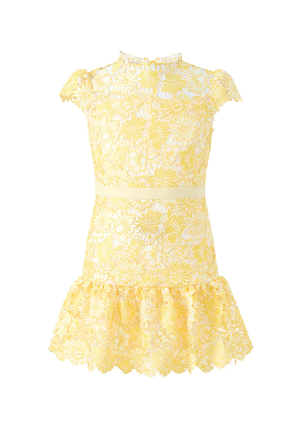 Cassandra Embroidered Mini Dress - Image 3
