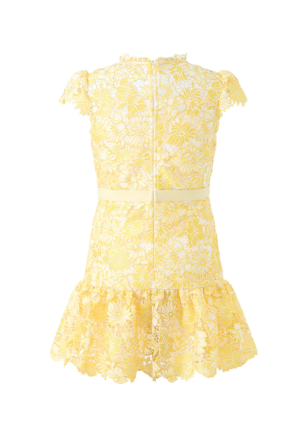 Cassandra Embroidered Mini Dress - Image 4