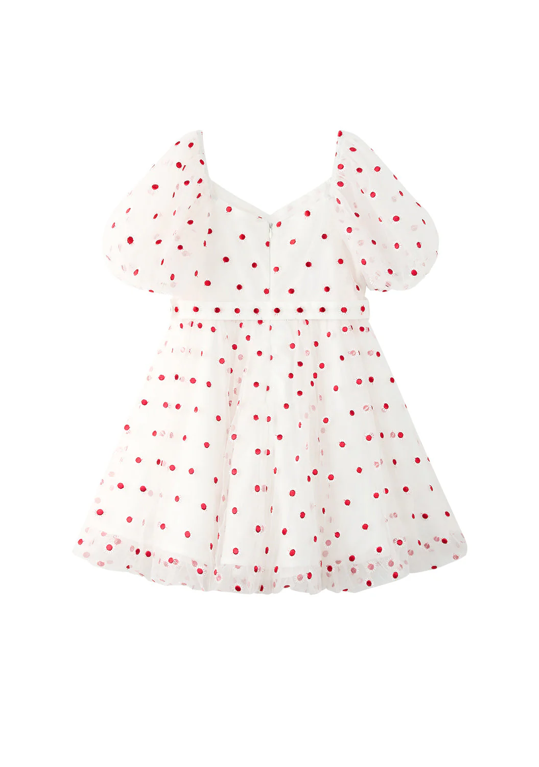 Enchanted Embroidered Dress - Image 4