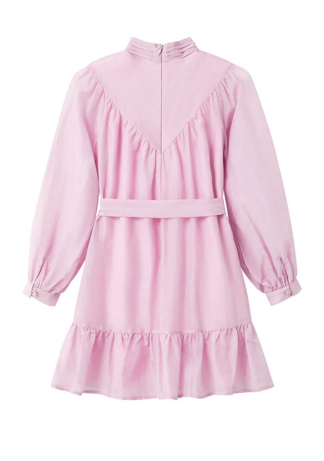 Gabrielle Silk / Cotton Dress - Image 3