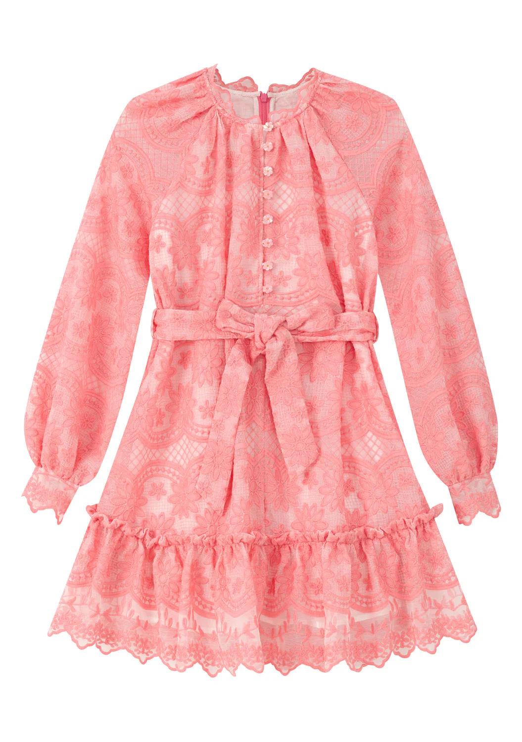 Kaia Lace Embroidered Mini Dress - Image 3