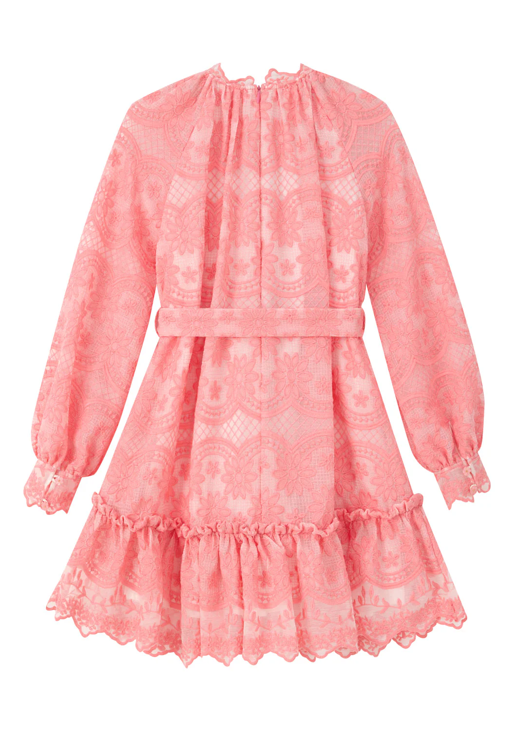 Kaia Lace Embroidered Mini Dress - Image 4