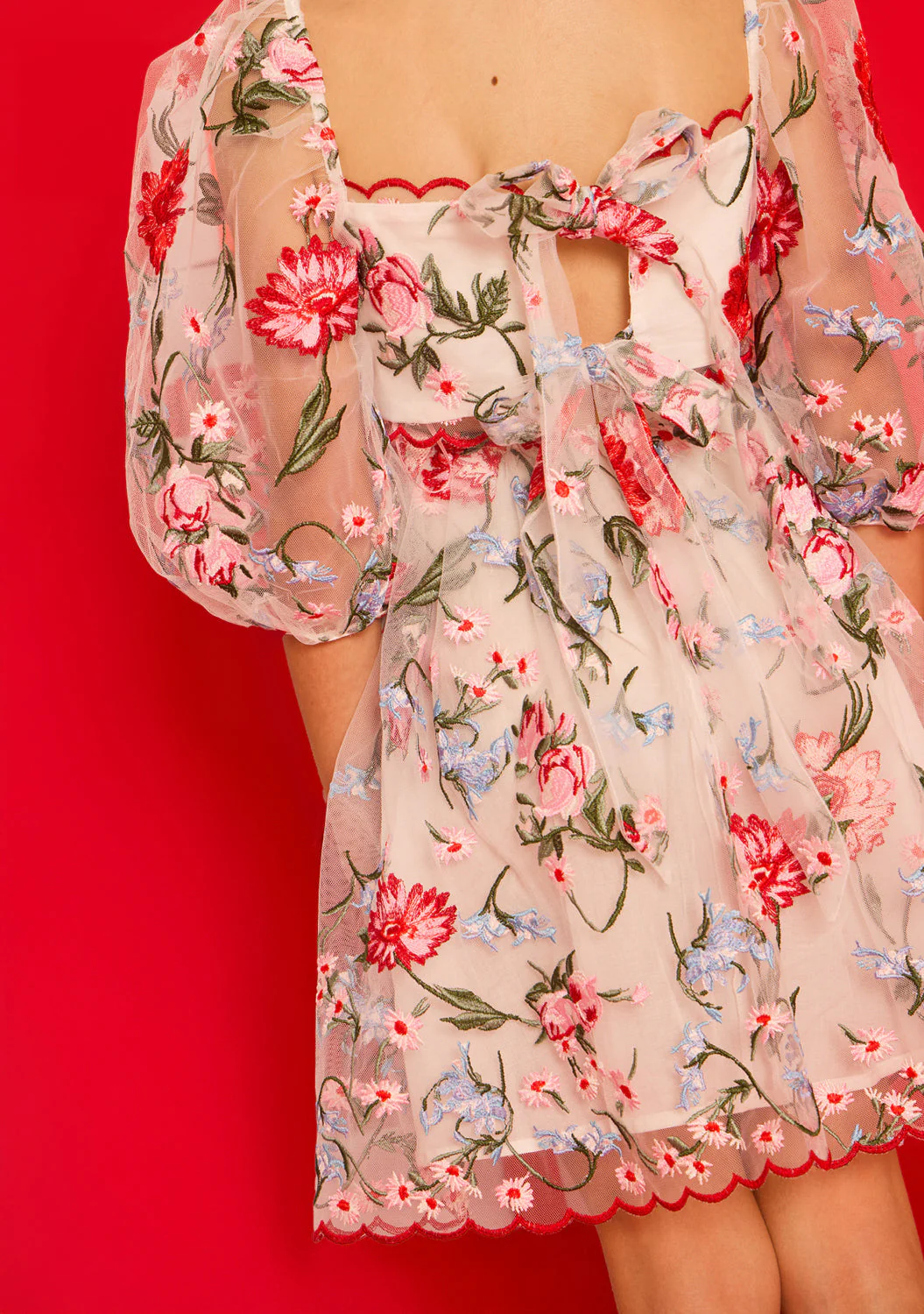 Lillia Embroidered Mini Dress - Image 4