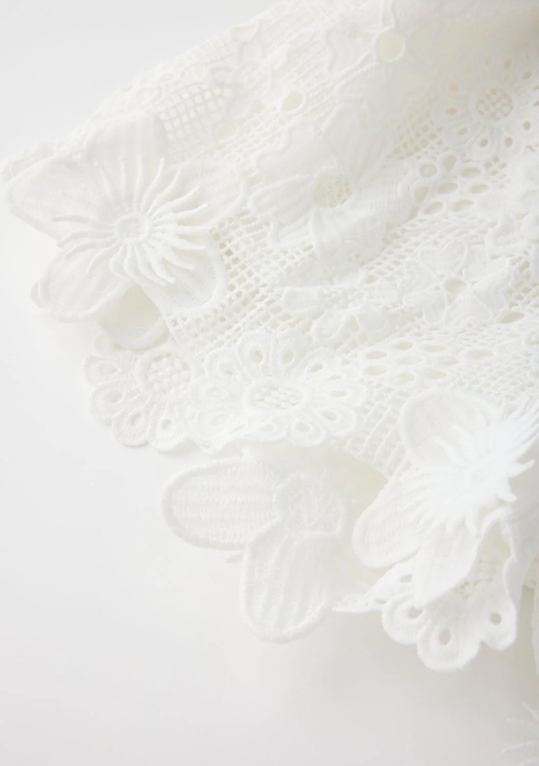 Lucinda Embroidered Shorts - Image 7
