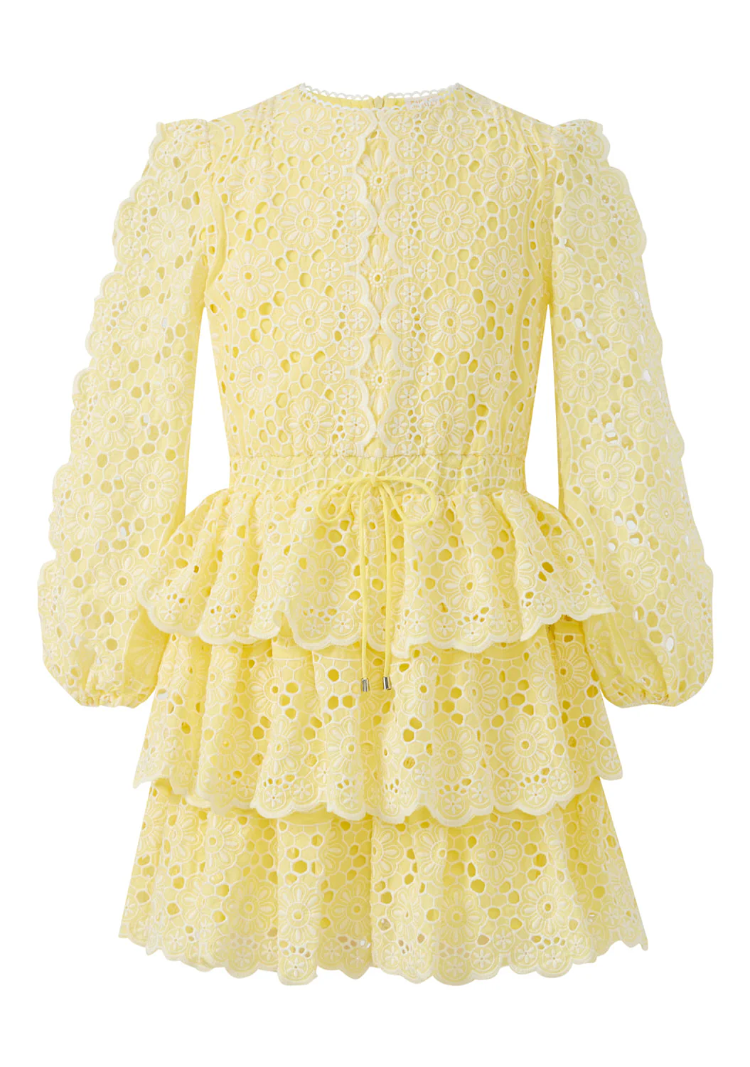 Skyla Sleeve Embroidered Mini Dress - Image 4